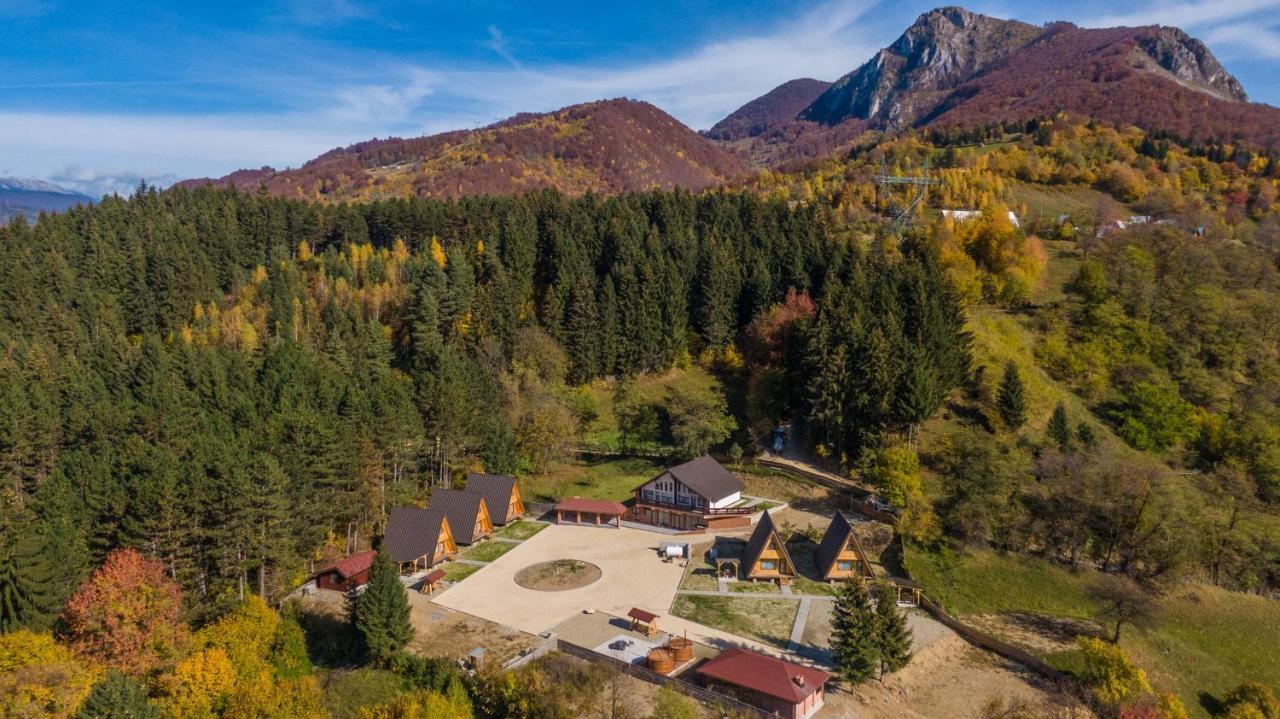 Catunul Din Podei A-Frame Dragoslavele Extérieur photo