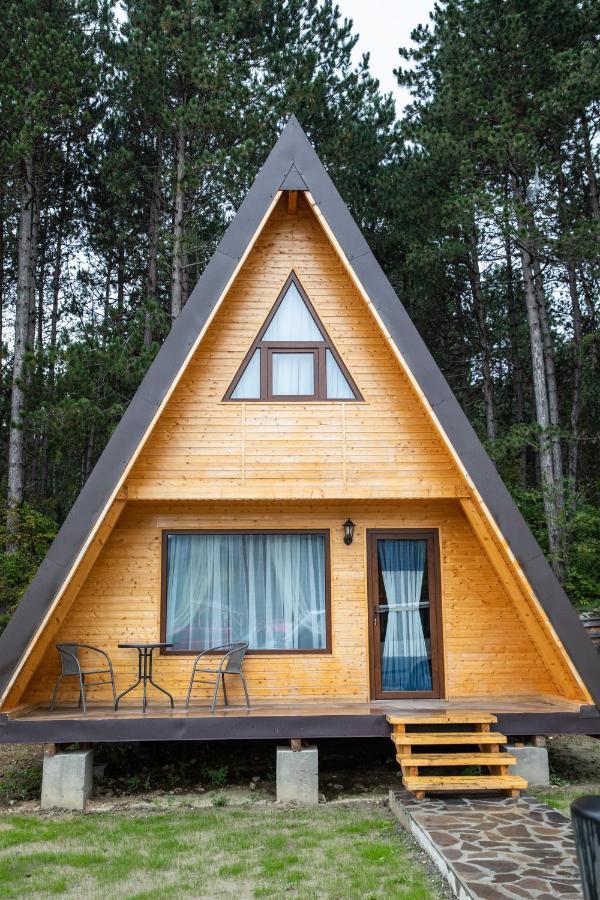 Catunul Din Podei A-Frame Dragoslavele Extérieur photo